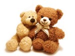 TeddyBear (3)